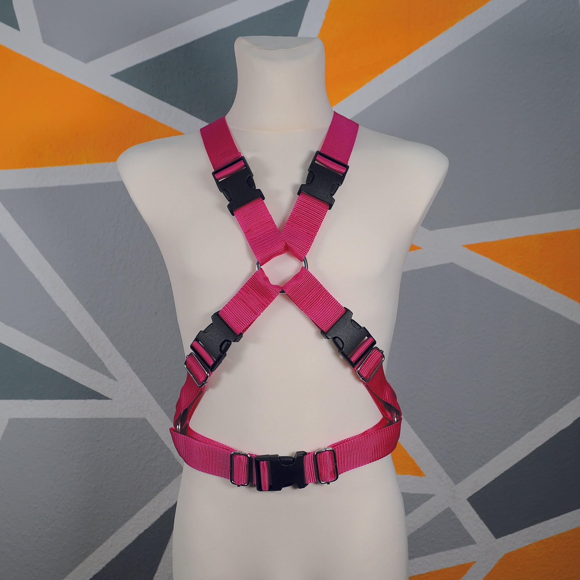 Harness "Berk" │ Budget-Line