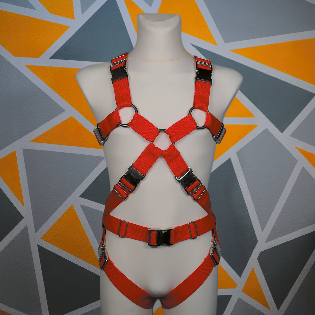 Harness "Berrexter"