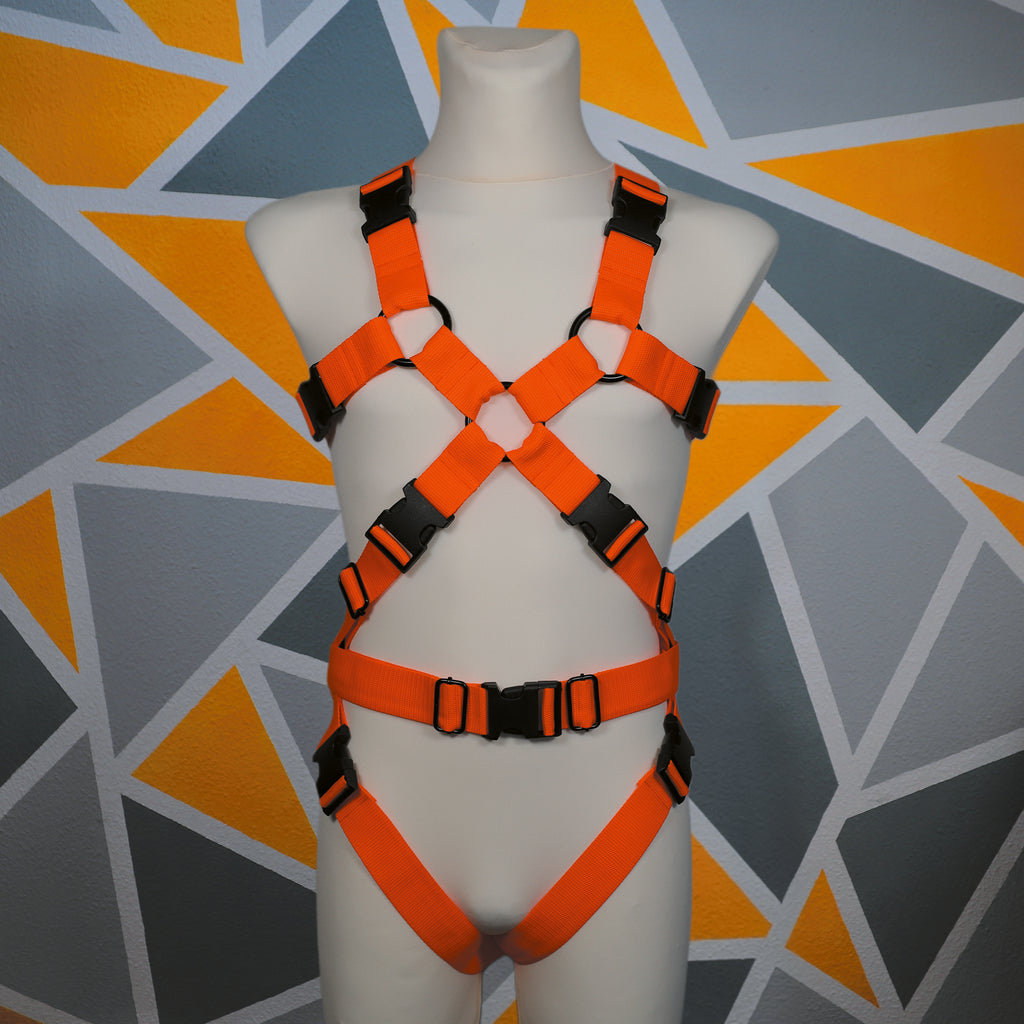 Harness "Berrexter" │ Budget-Line