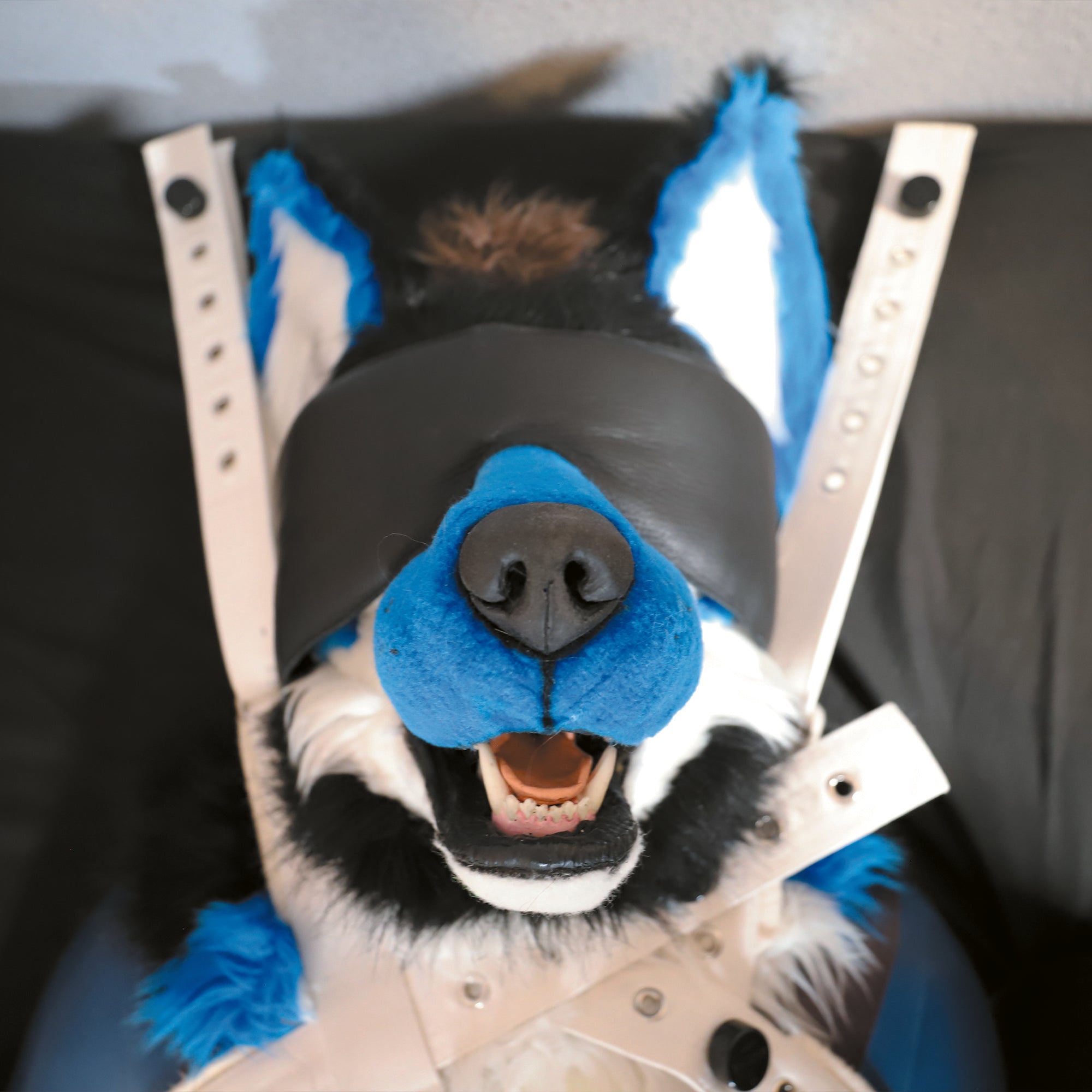 Fursuit Augenbinde │ Echtleder