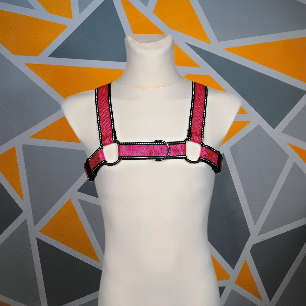 Harness "Bull-Dog" │ Budget-Line