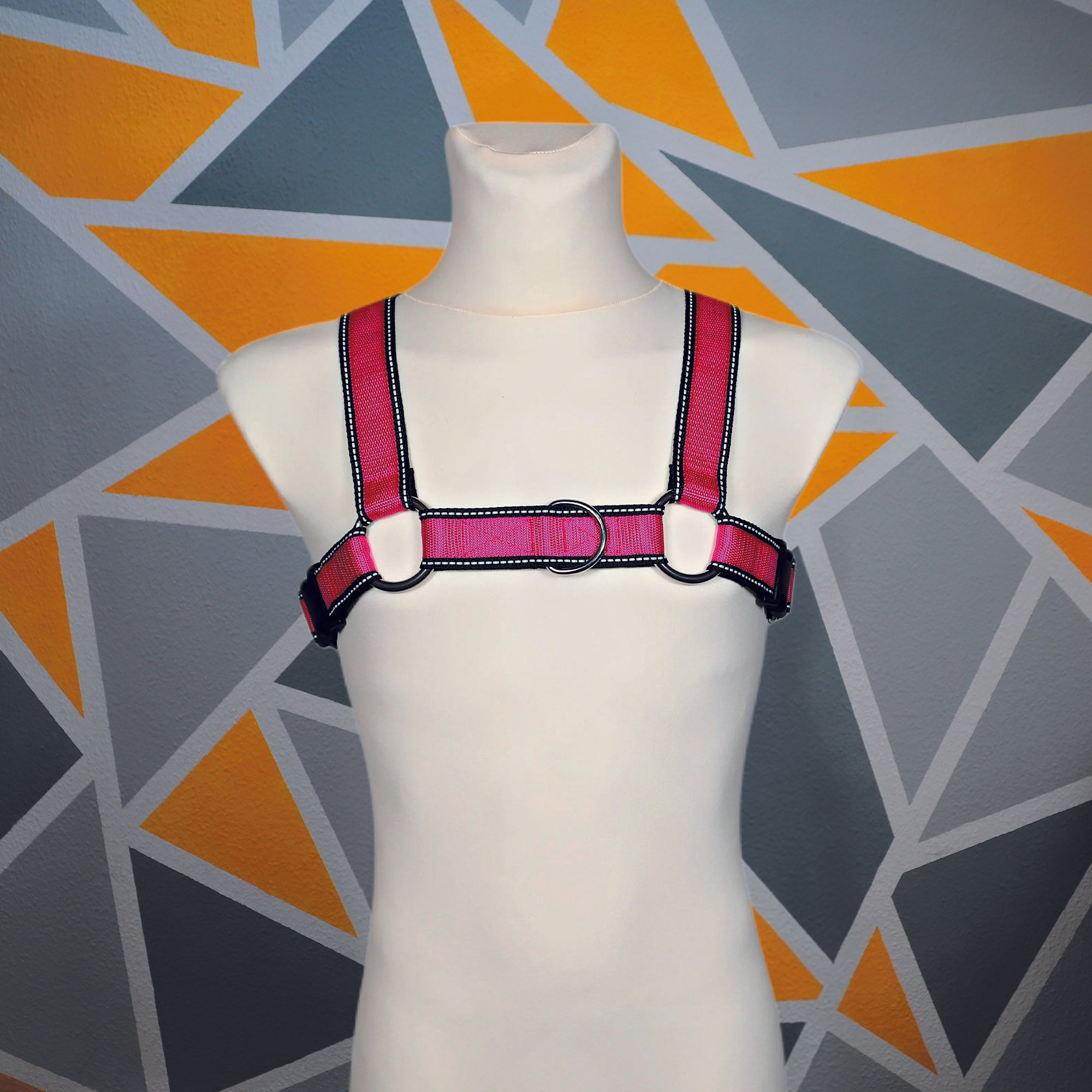 Harness "Bull-Dog" │ Budget-Line