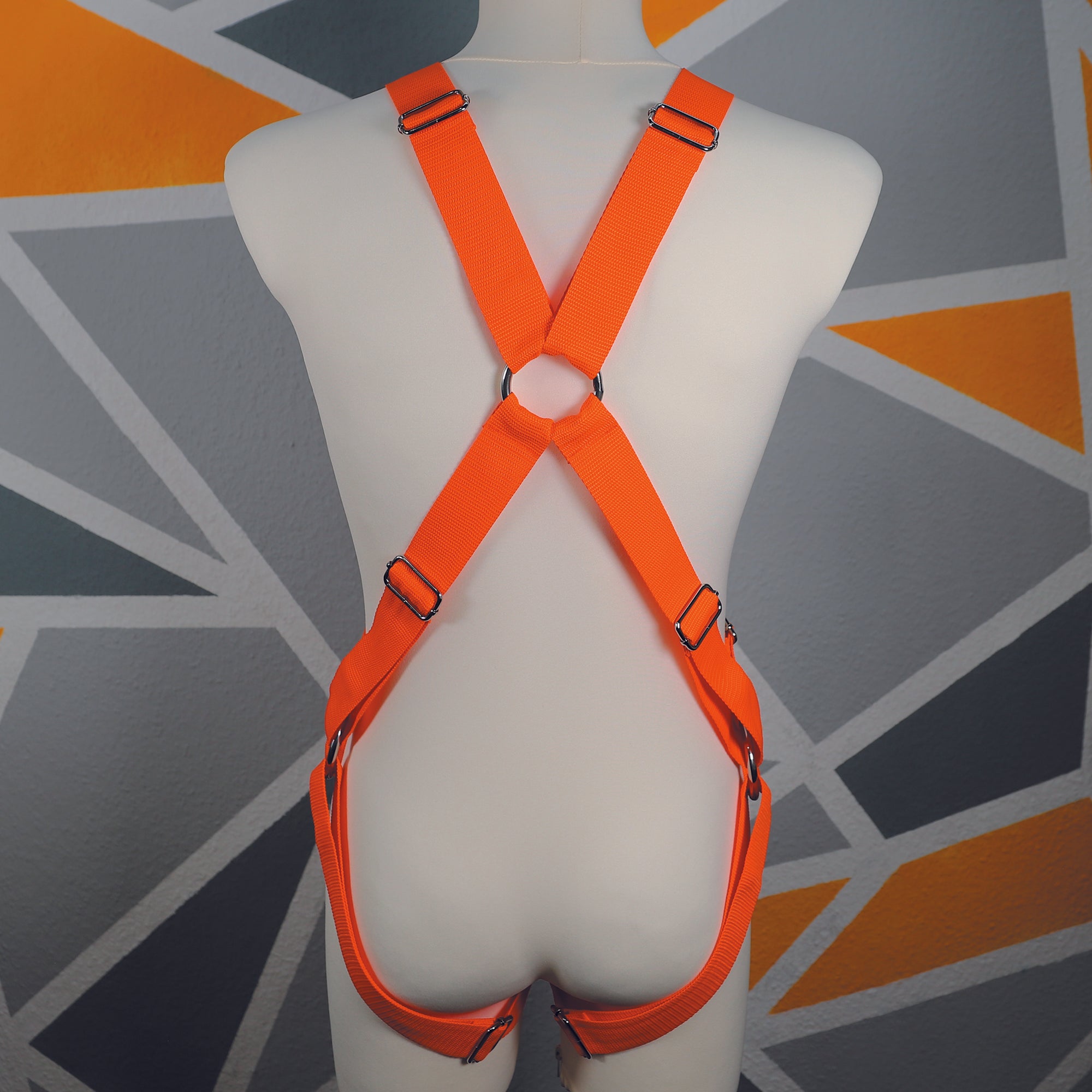 Harness "Cody" │ Budget-Line