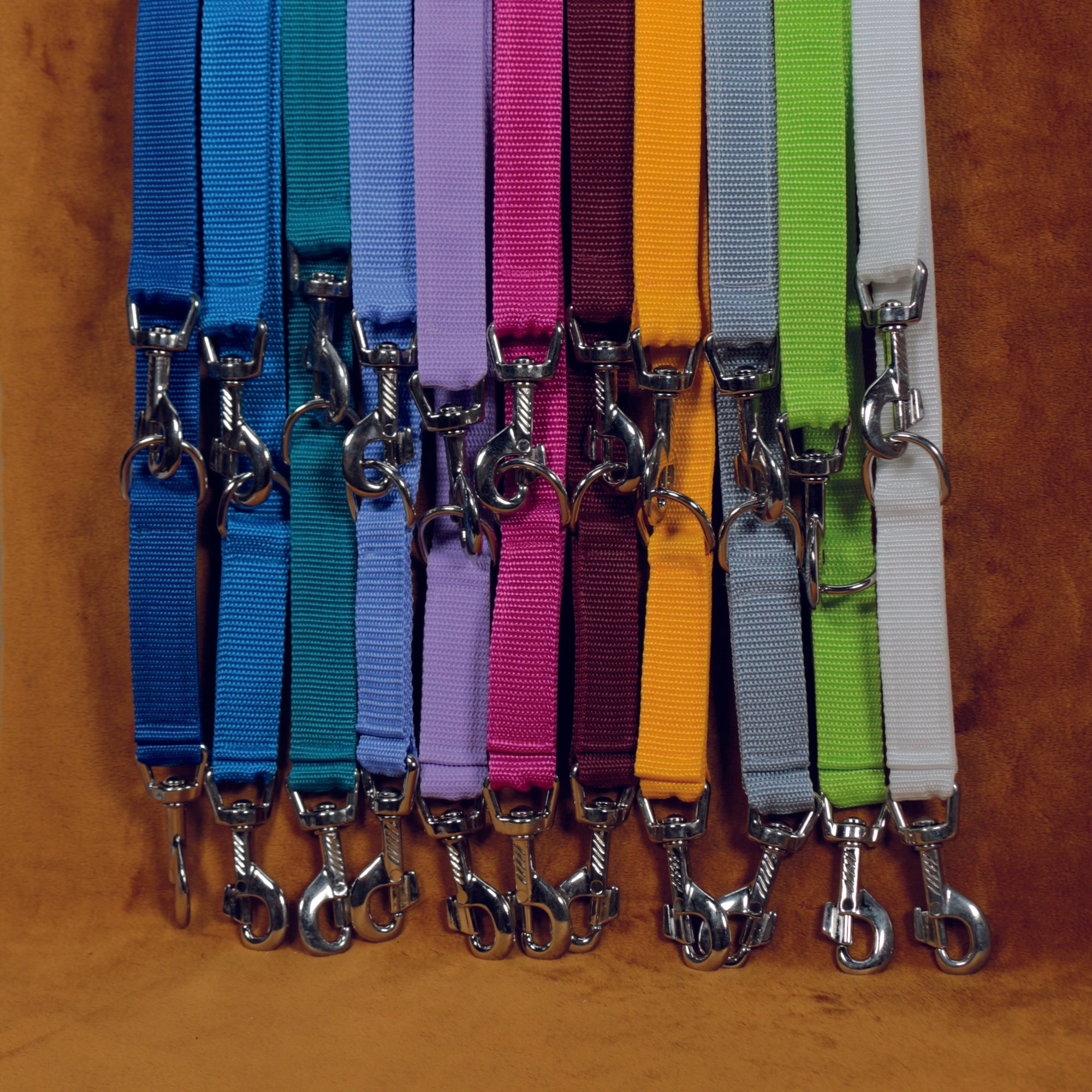 Leash 1,5m