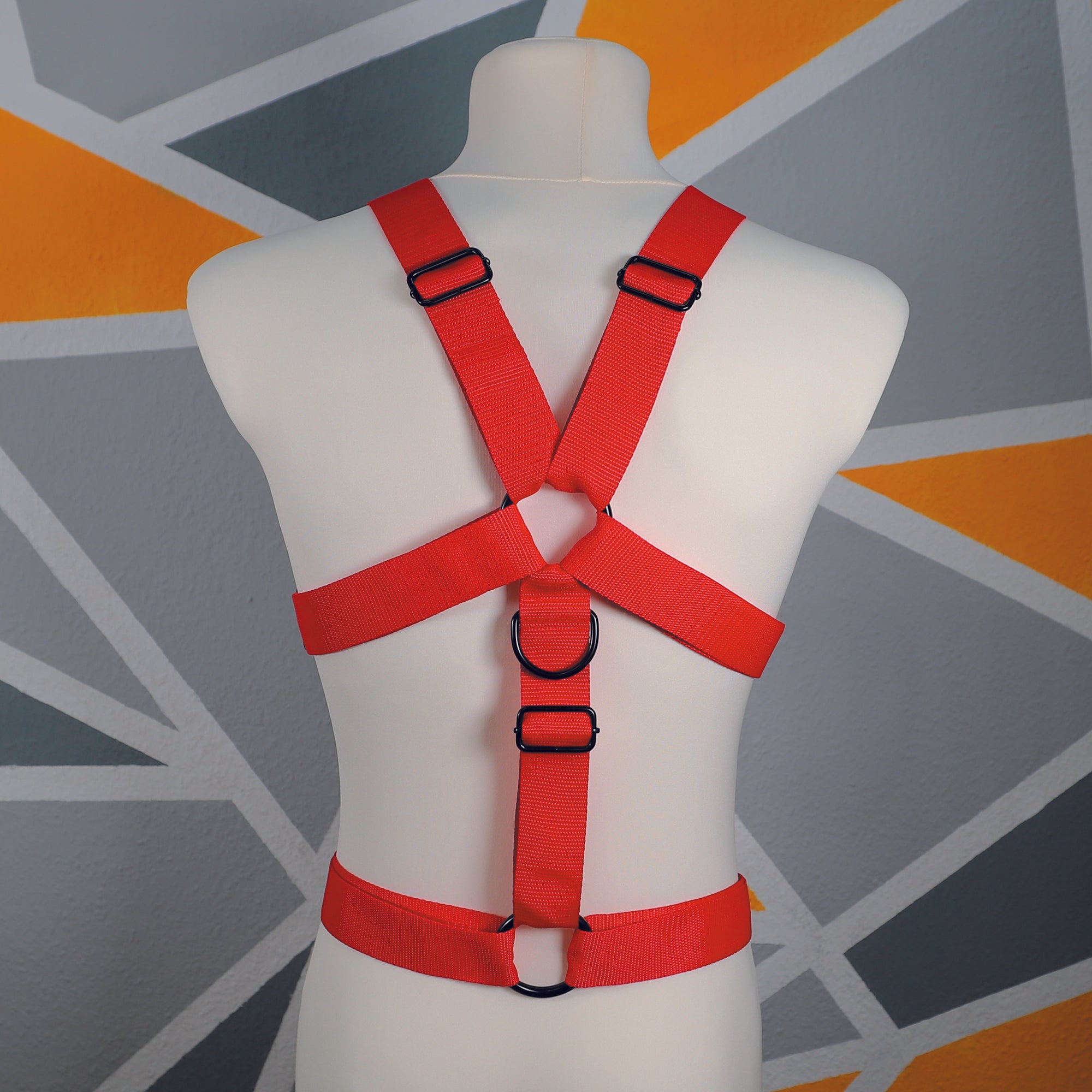Harness "Luca" │ Budget-Line