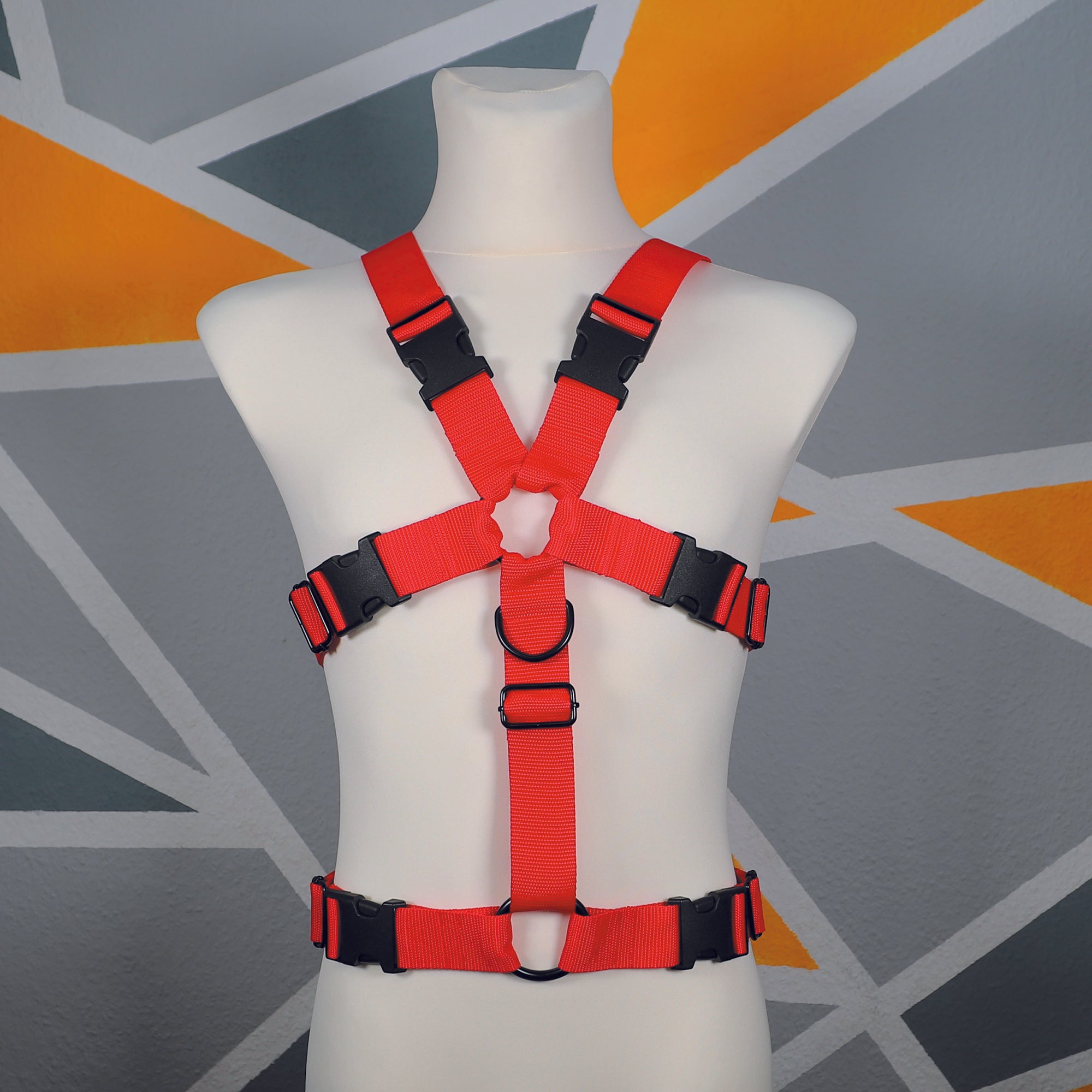 Harness "Luca" │ Budget-Line