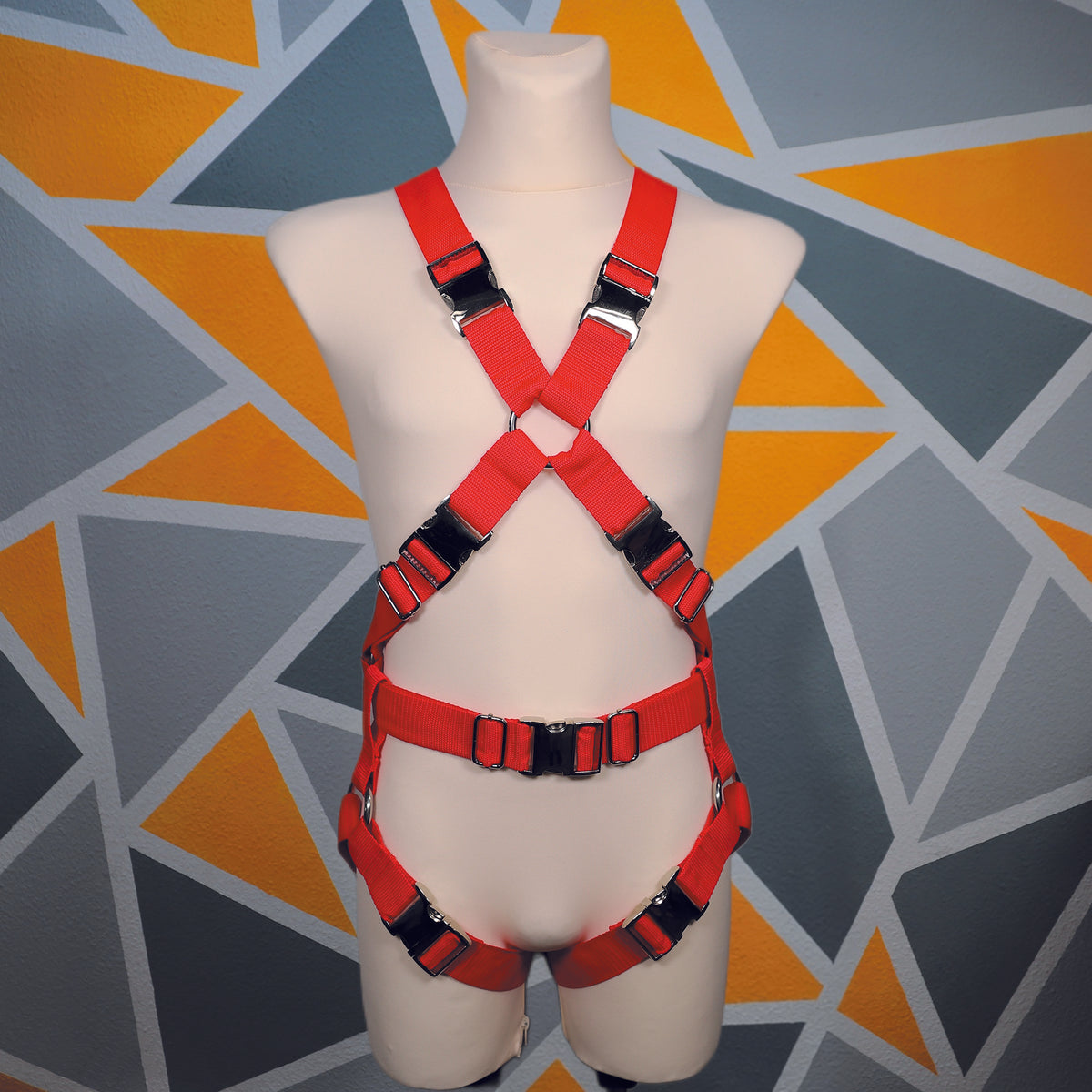 Harness "Lucky"