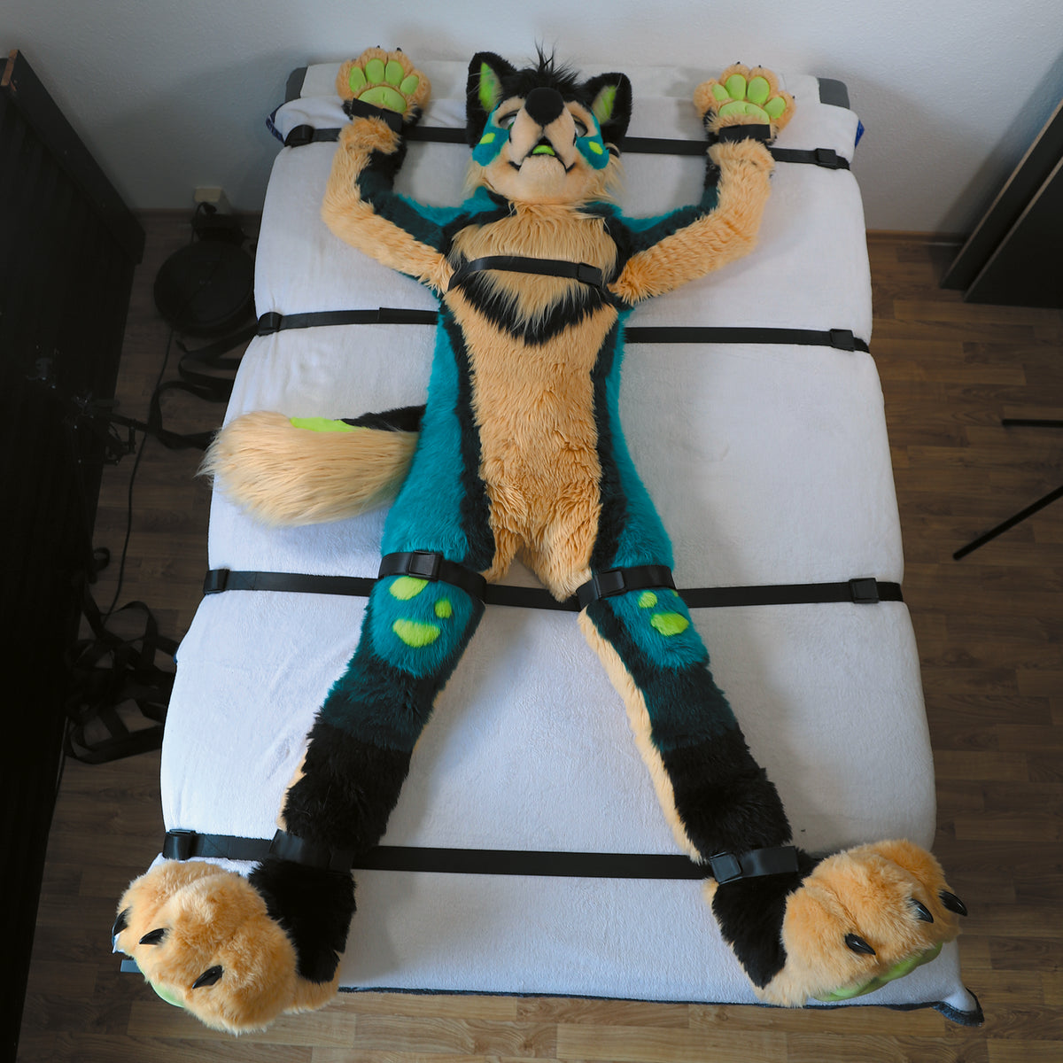Advanced-Kit │FurrFixx