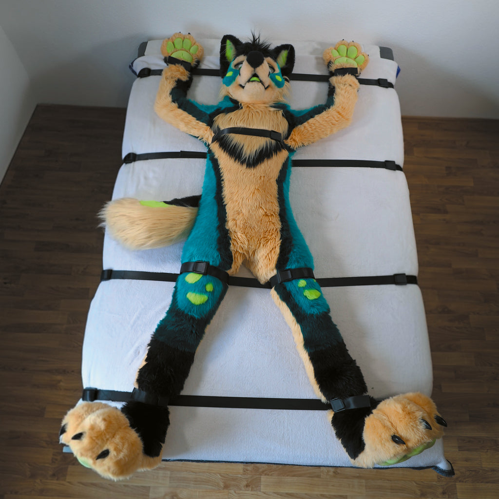 Advanced-Kit │FurrFixx