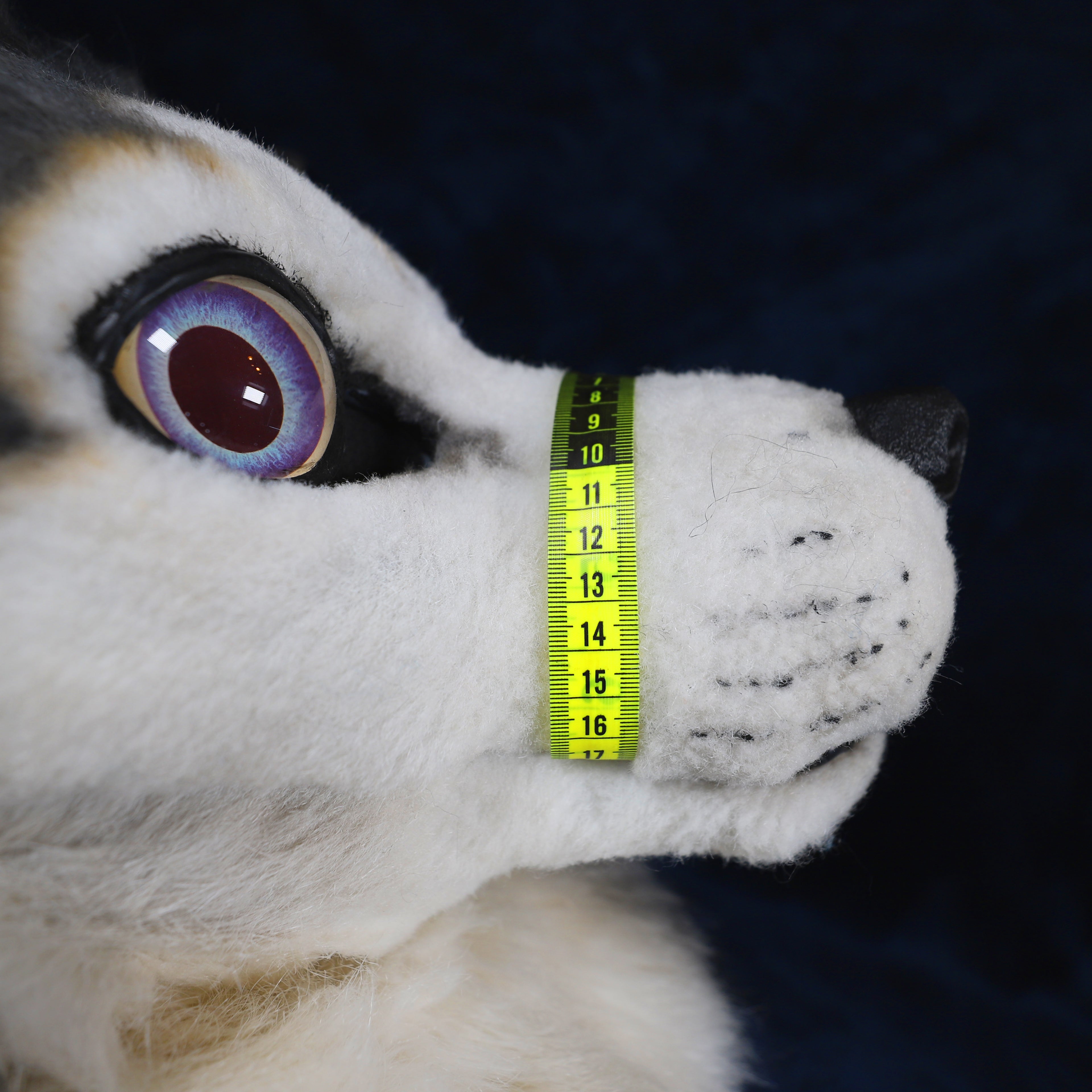 Fursuit Muzzle