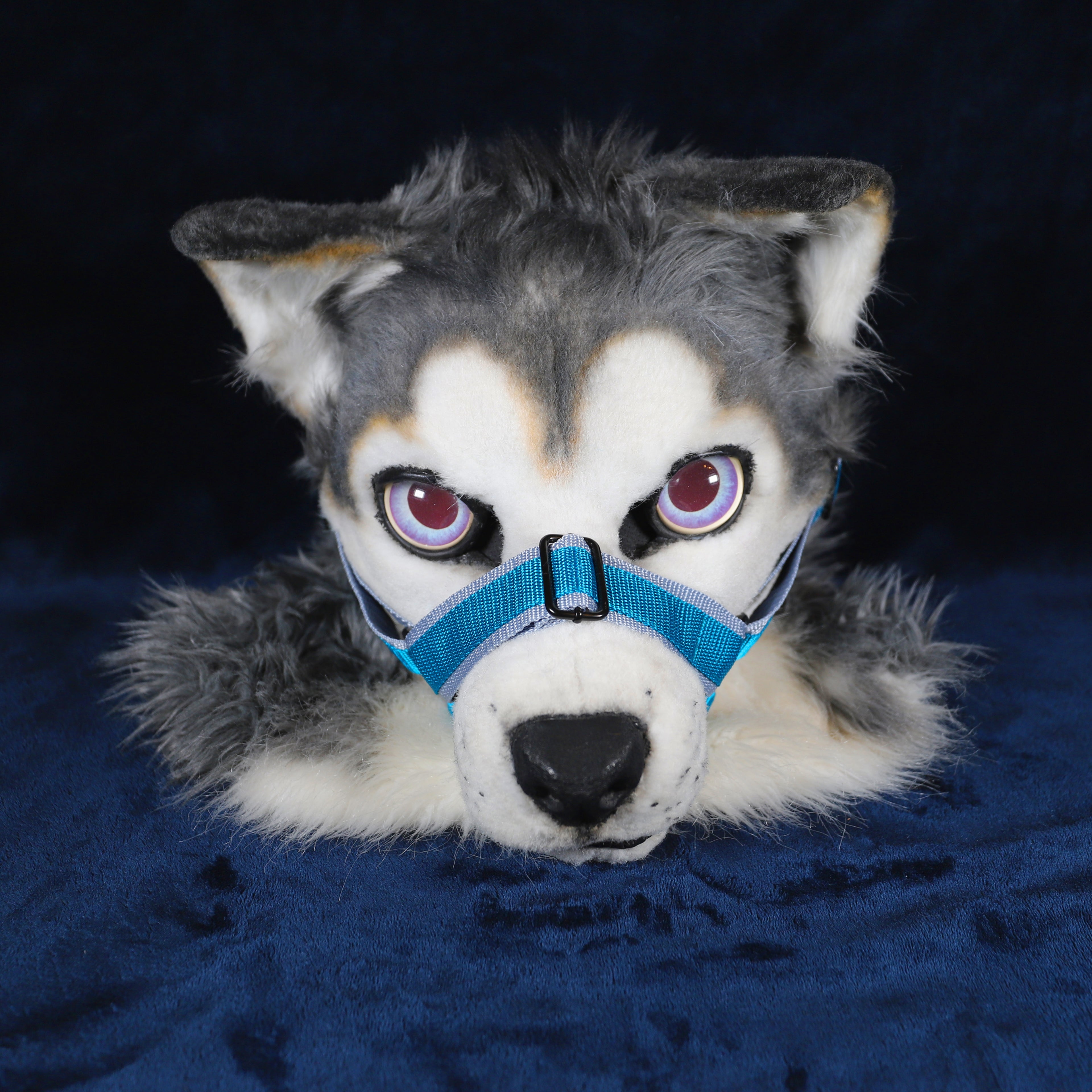 Fursuit Muzzle Upgrade Dualcolor