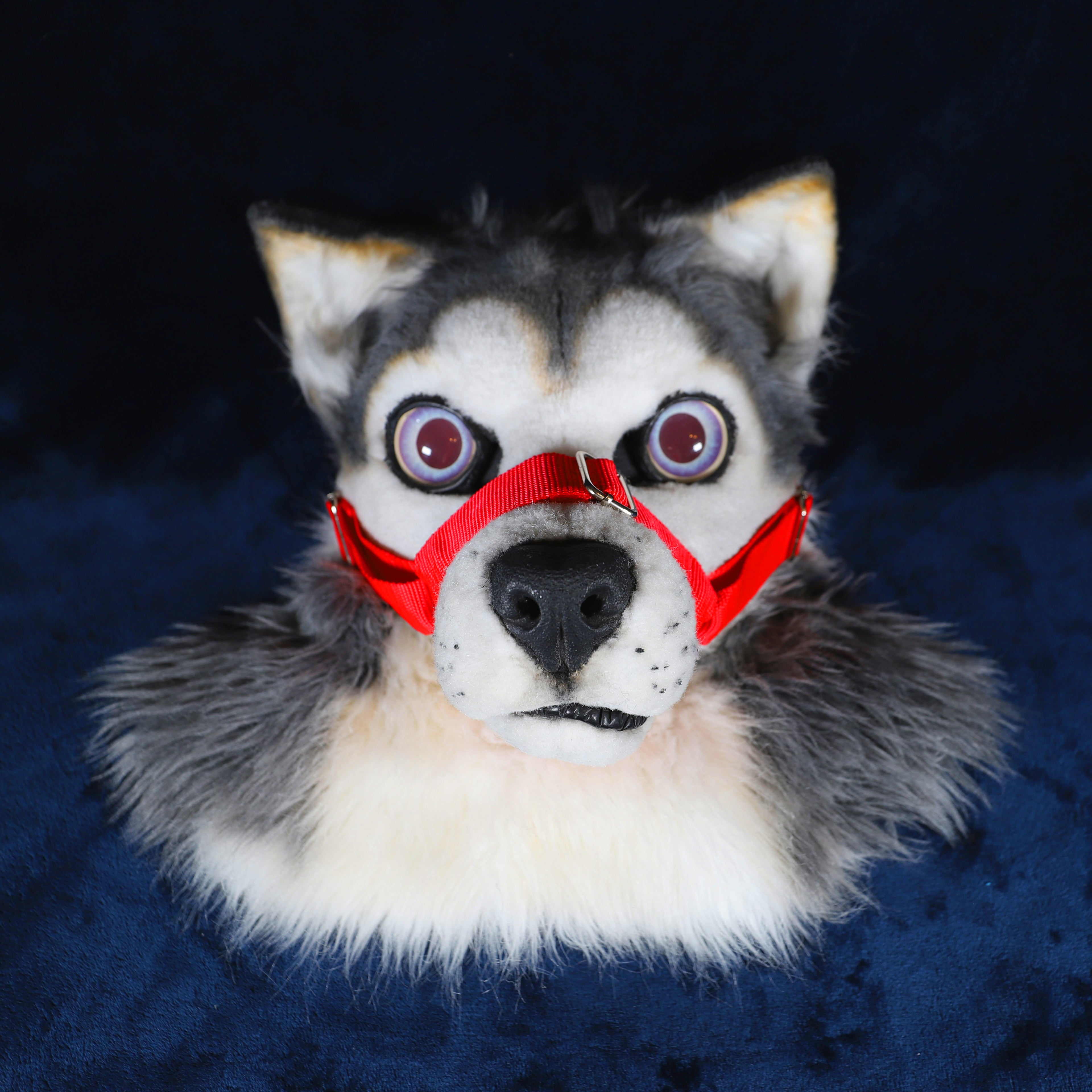 Fursuit Muzzle