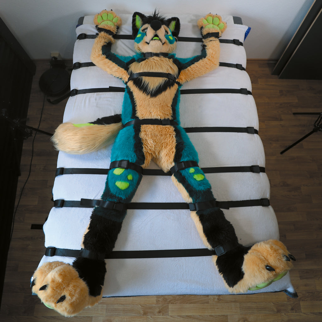Pro-Kit │FurrFixx