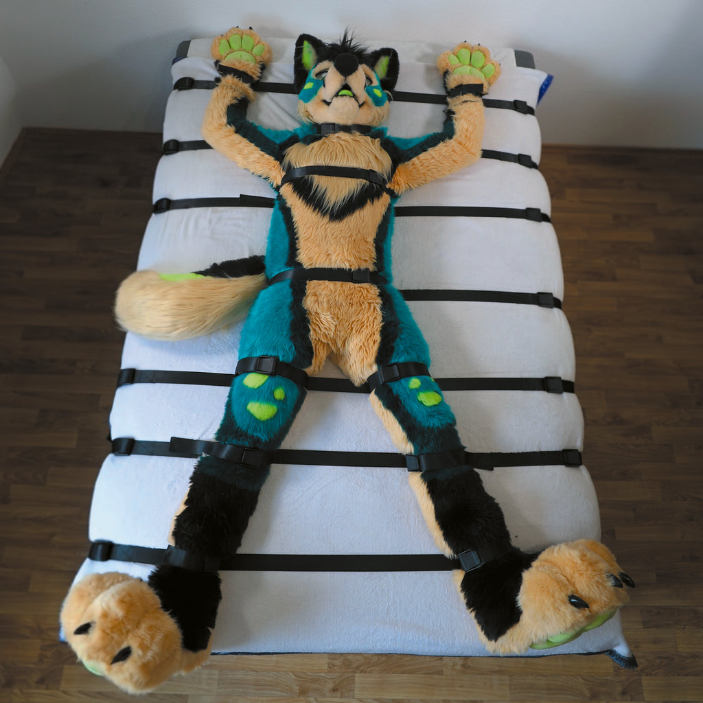 Pro-Kit │FurrFixx