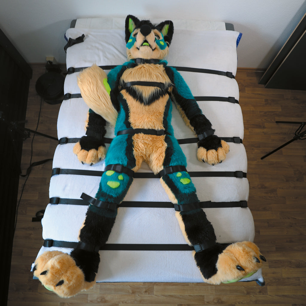 Pro-Kit │FurrFixx