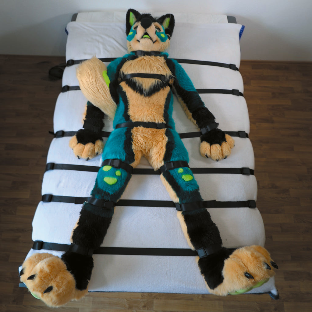 Pro-Kit │FurrFixx