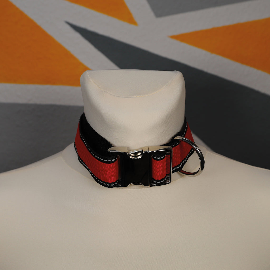 Collar Upgrade Dualcolor