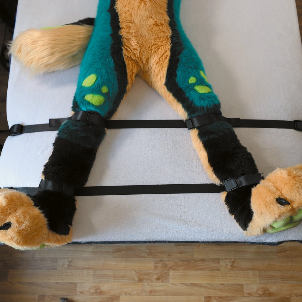 Pro-Kit │FurrFixx