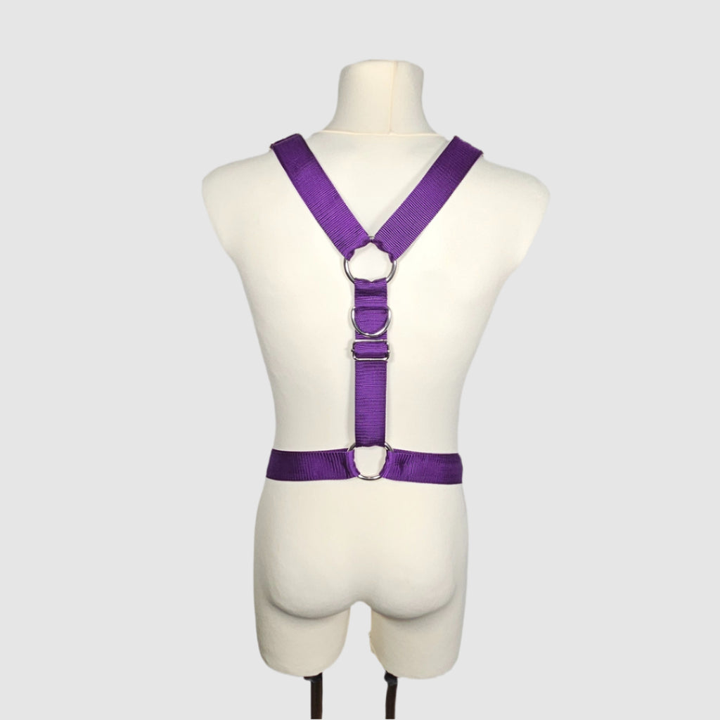 Harness "Zarum"