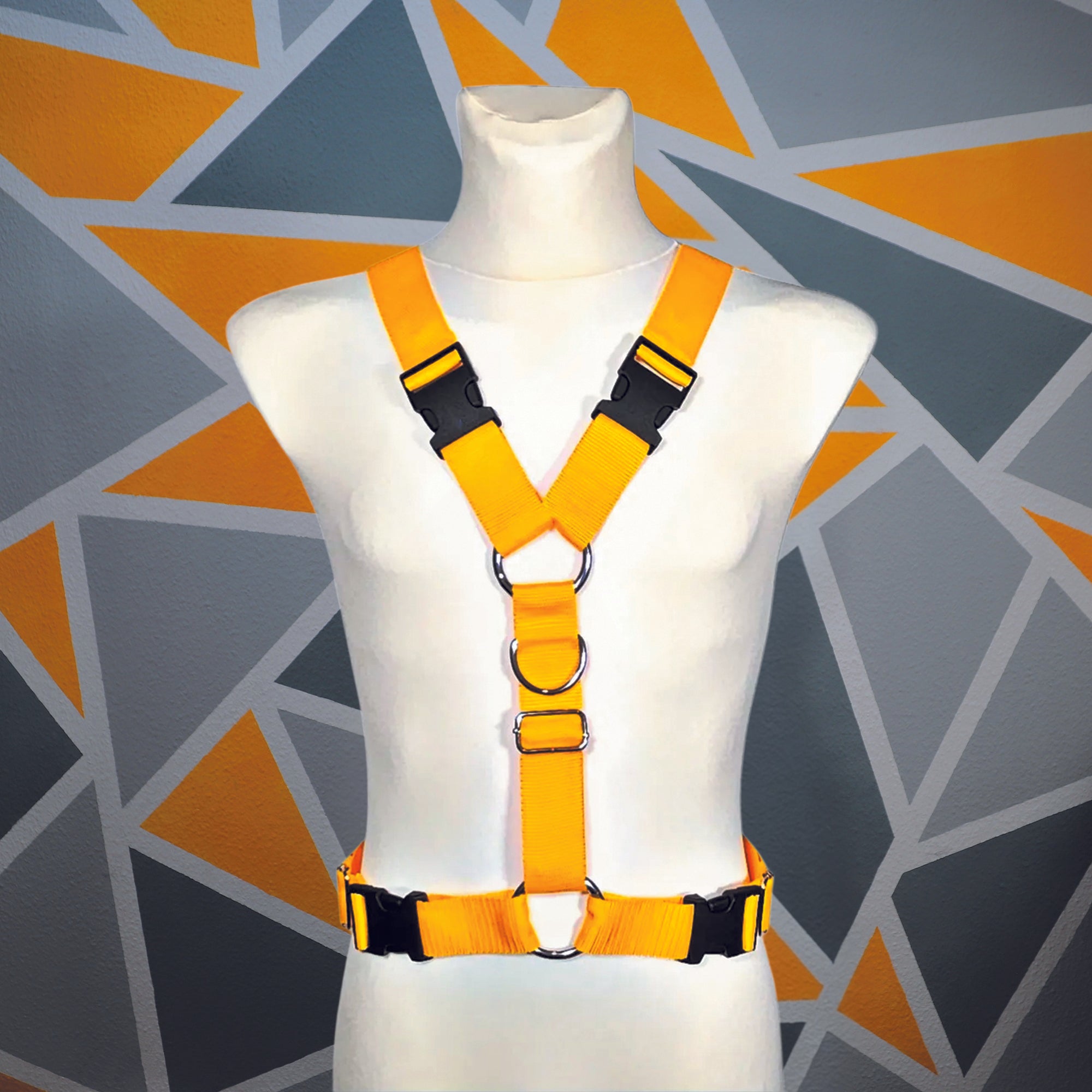 Harness "Monte" │ Budget-Line