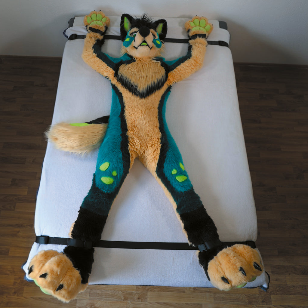 Starter-Kit │FurrFixx
