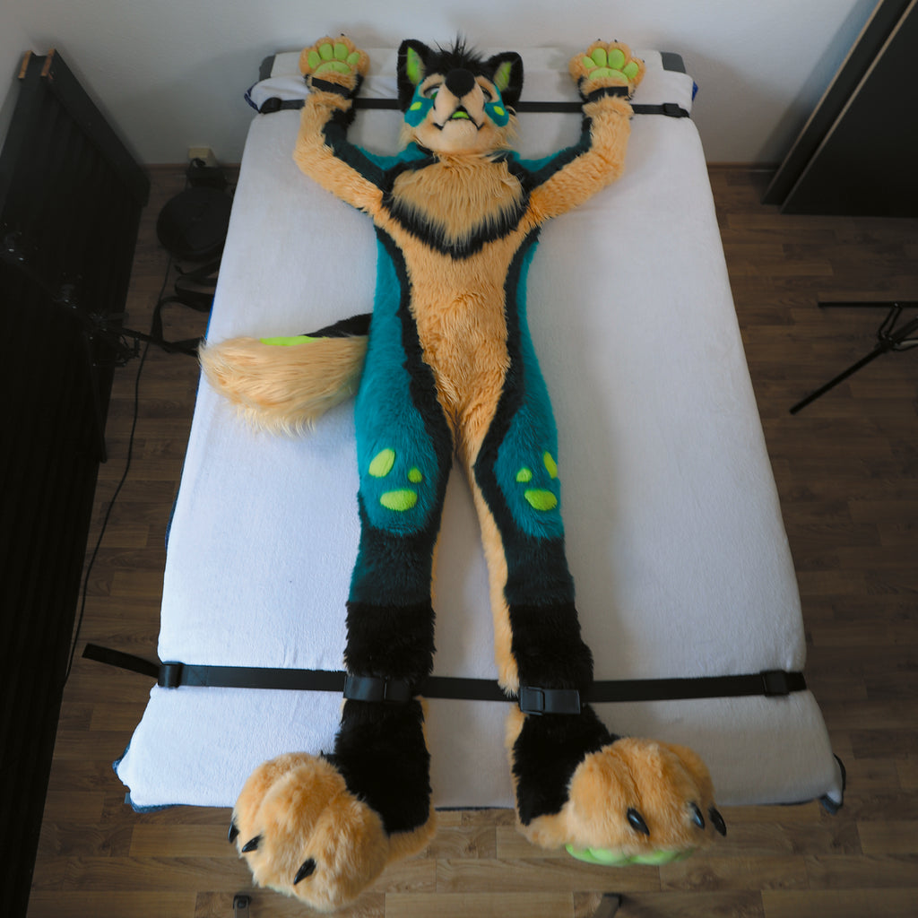 Starter-Kit │FurrFixx