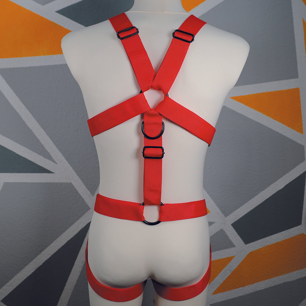 Harness "Tekki" │ Budget-Line