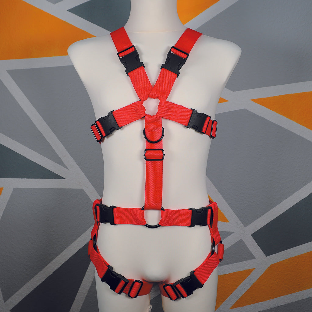 Harness "Tekki" │ Budget-Line