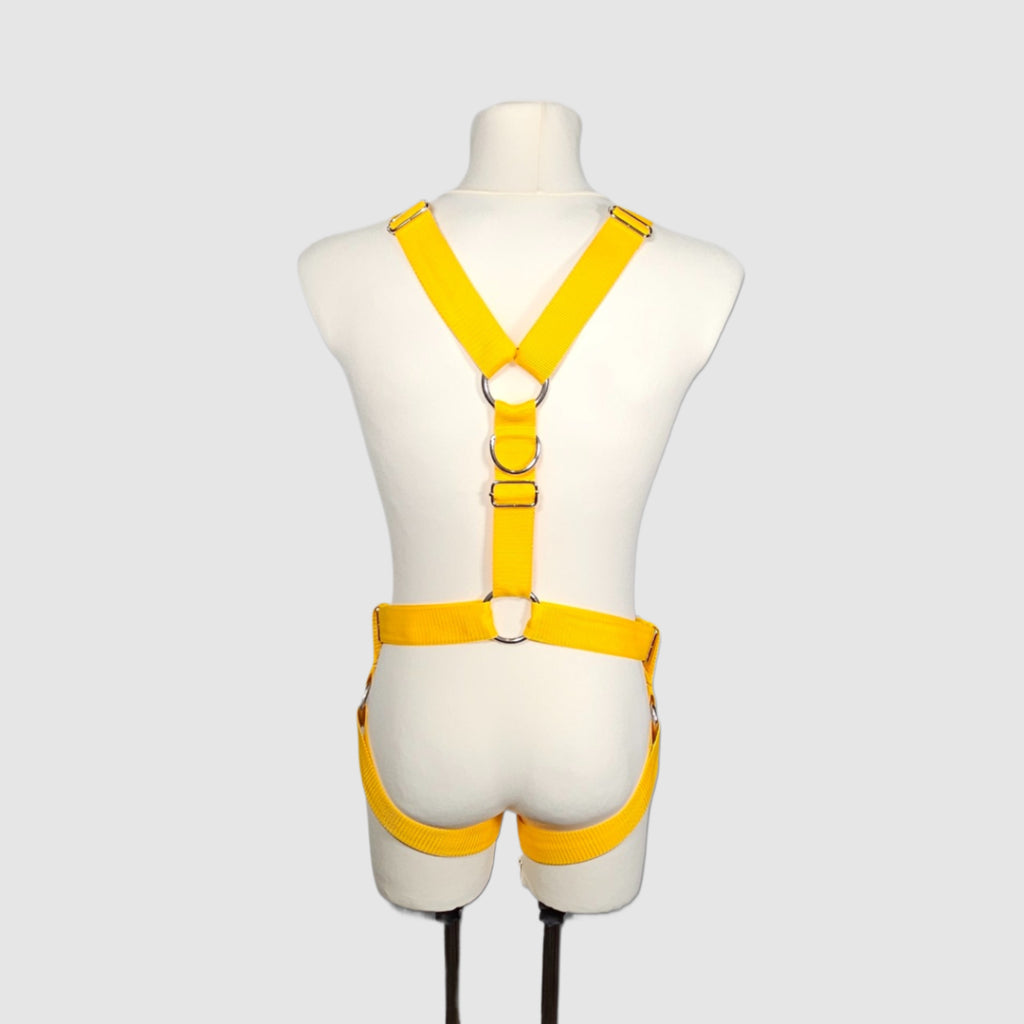 Harness "Zarum" │ Budget-Line