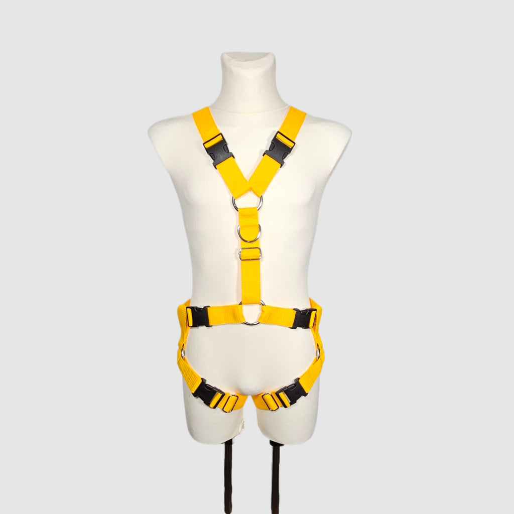 Harness "Zarum" │ Budget-Line