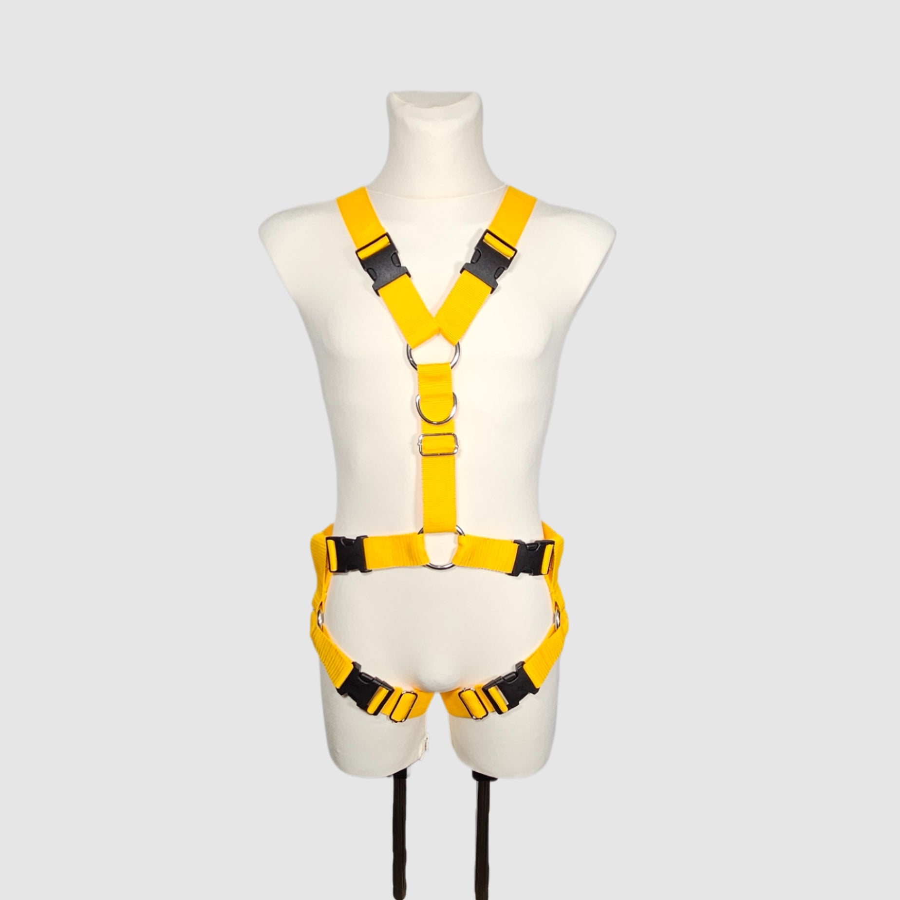 Harness "Zarum" │ Budget-Line