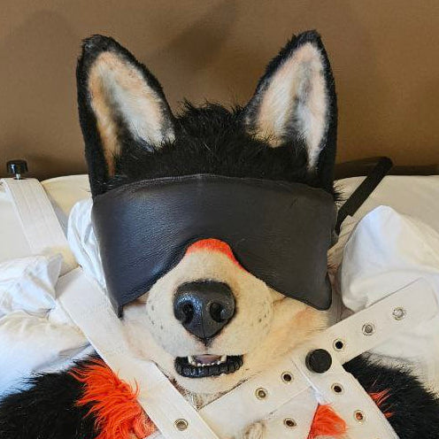 Fursuit Blindfold