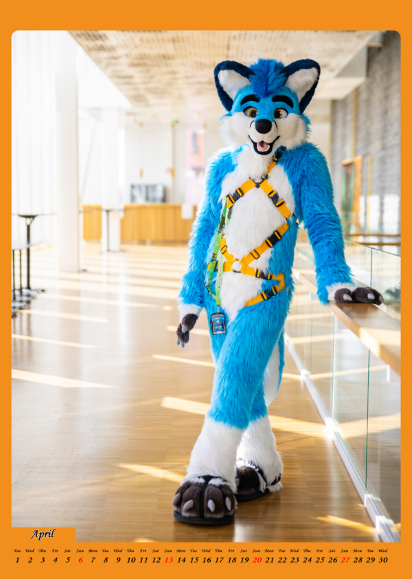 Harness-Calendar 2025 │ A4 – Bild 5