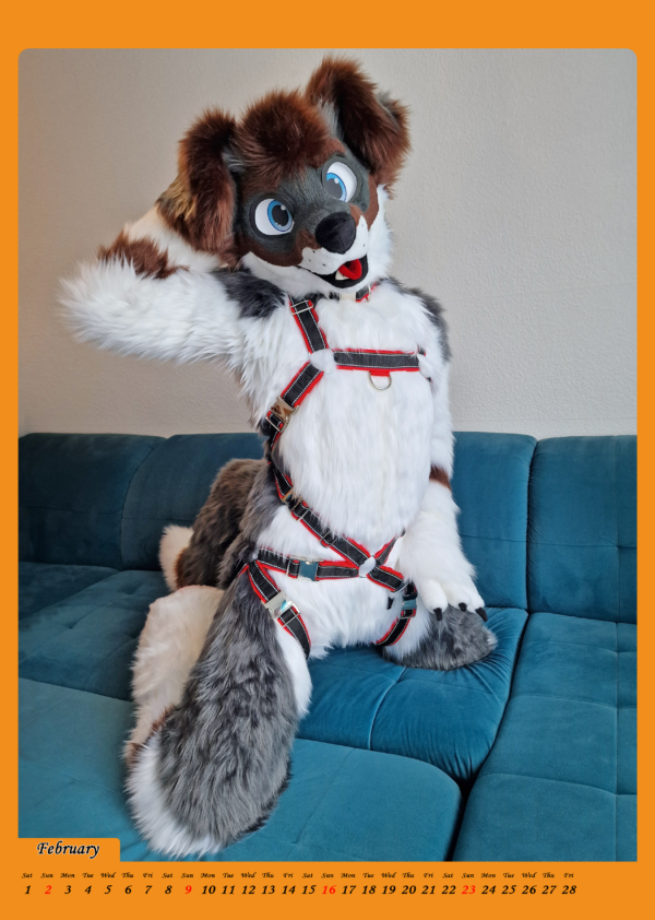 Harness-Calendar 2025 │ A4 – Bild 3