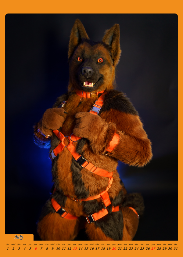 Harness-Calendar 2025 │ A4 – Bild 8
