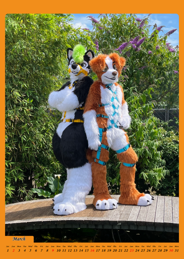 Harness-Calendar 2025 │ A4 – Bild 4