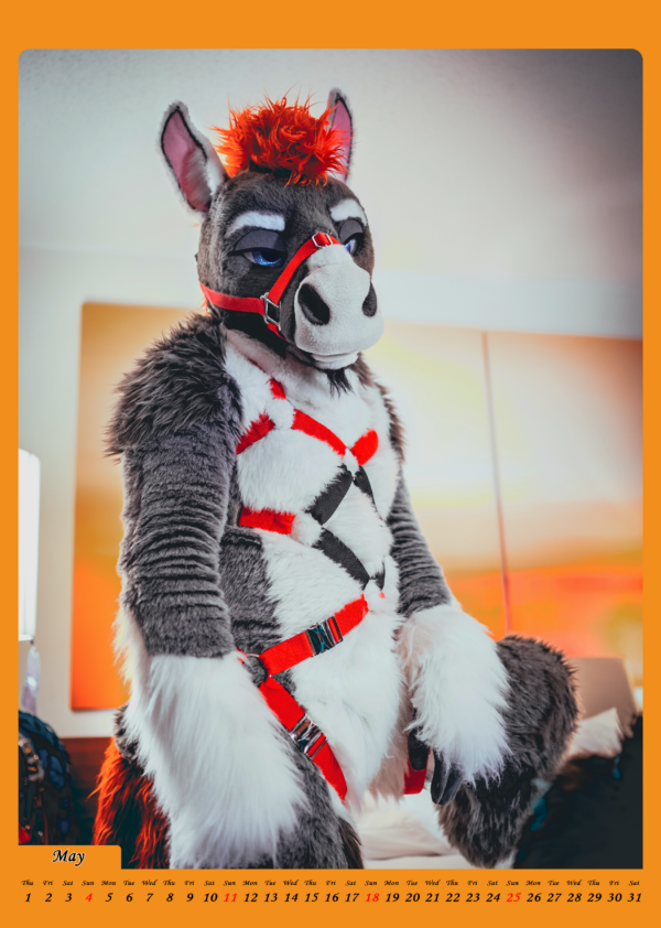 Harness-Calendar 2025 │ A4 – Bild 6