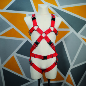 Harness │ Berrexter