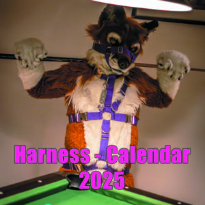 Harness-Calendar 2025 │ A4